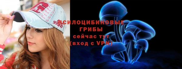 прущий лед Арсеньев